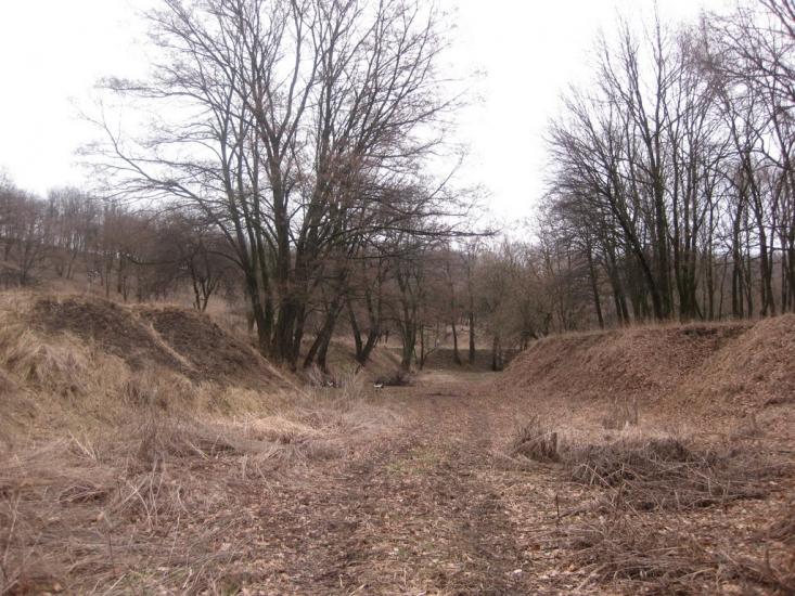 Садки з panoramio.com - Садки