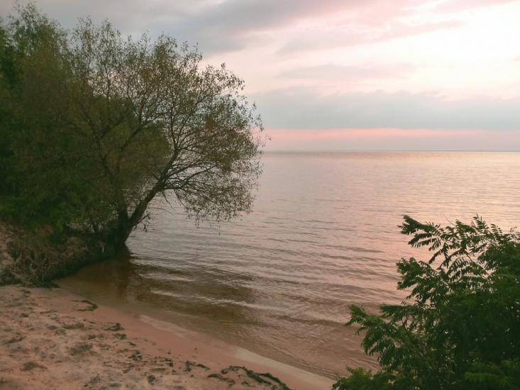 Ровжі з panoramio.com - Ровжи