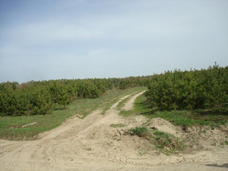 Партизанське з panoramio.com - Партизанське