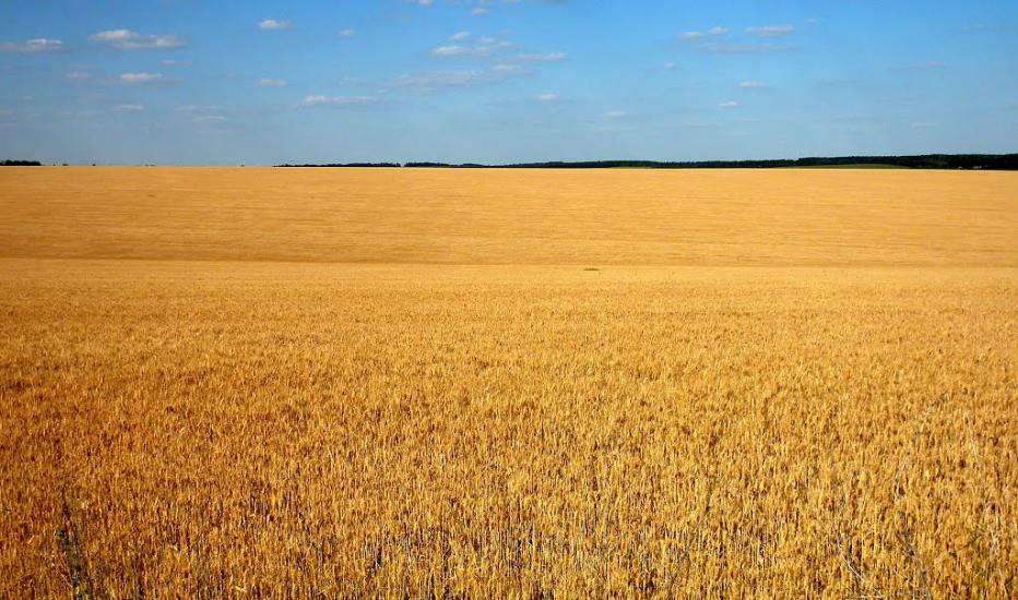 Городківка з panoramio.com - Городківка