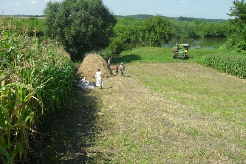 Бухарів з panoramio.com - Бухарів