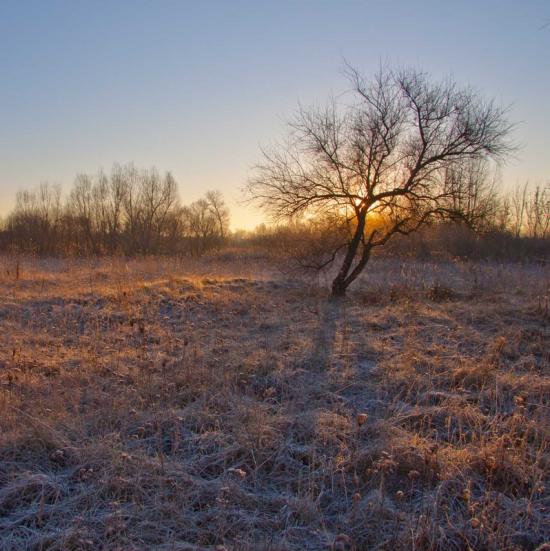 Бахмач з panoramio.com - Bakhmach