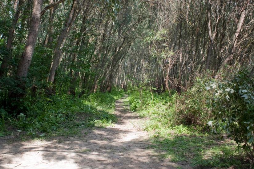 Шестовиця з panoramio.com - Шестовица