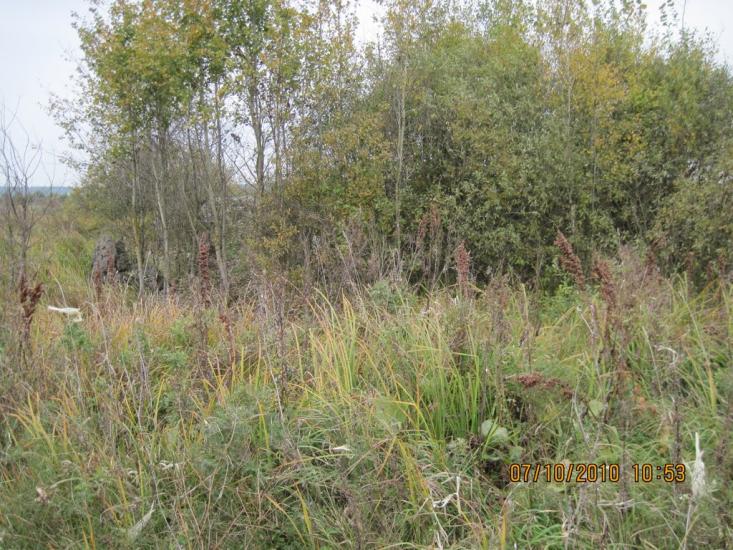 Моквин з panoramio.com - Моквин