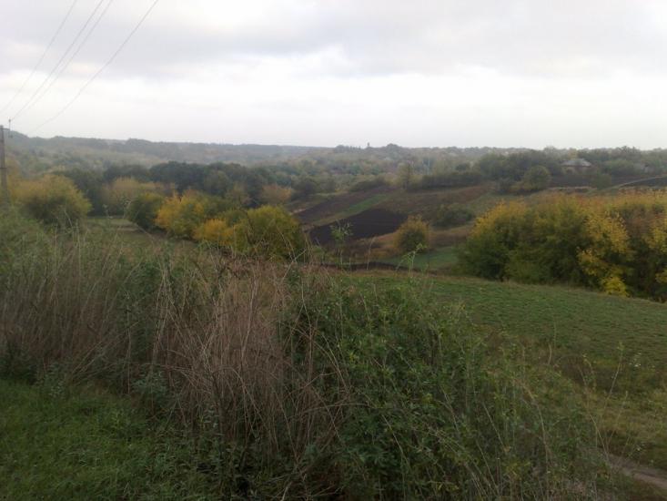 Ротмістрівка з panoramio.com - Ротмістрівка