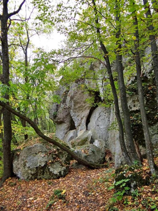 Кринцілів з panoramio.com - Кринцілів