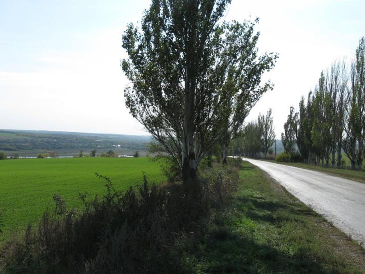 Сергіївка з panoramio.com - Сергіївка