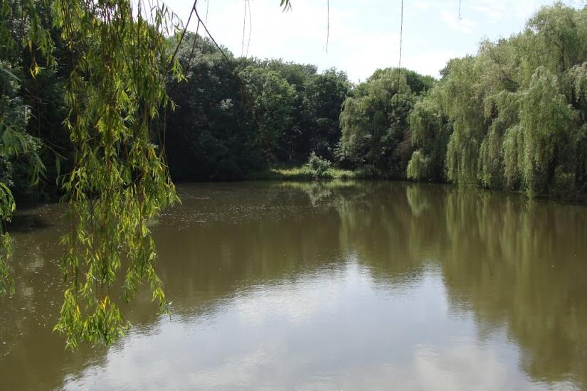 Комісарівка з panoramio.com - Комиссаровка