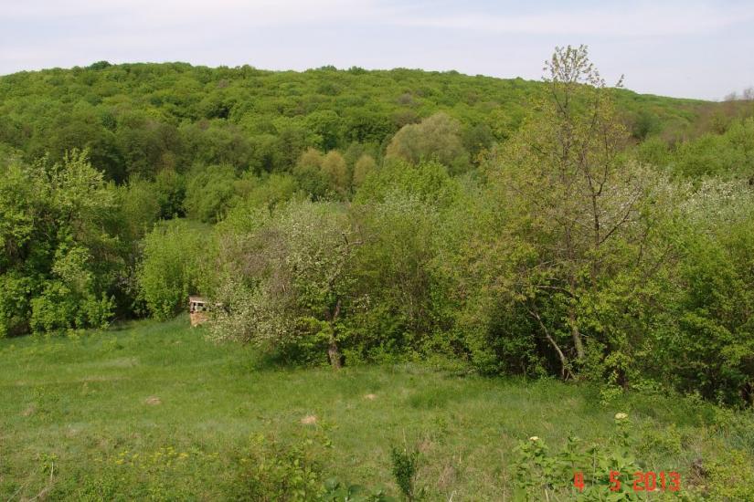 Тарасівка з panoramio.com - Тарасівка