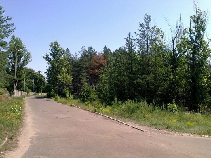 Красний Лиман з panoramio.com - Krasny Lyman