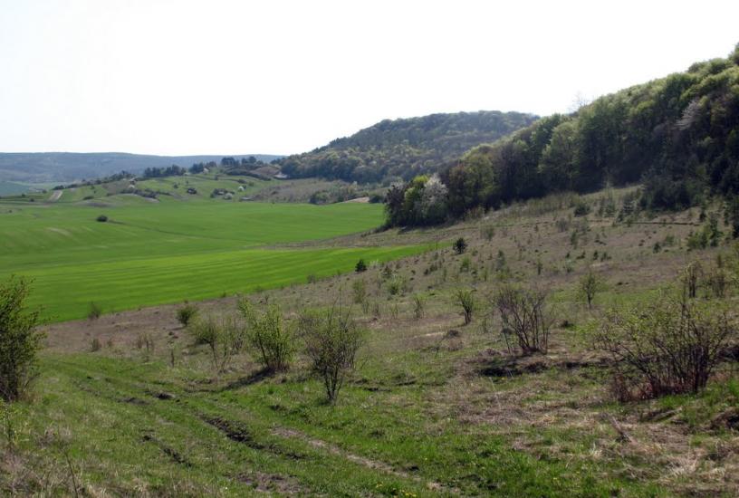 Шопки з panoramio.com - Шопки