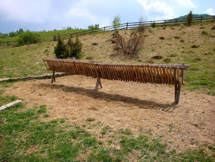 Люта з panoramio.com - Люта