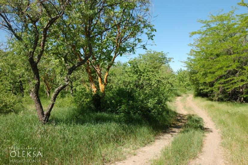 Долинне з panoramio.com - Долинное