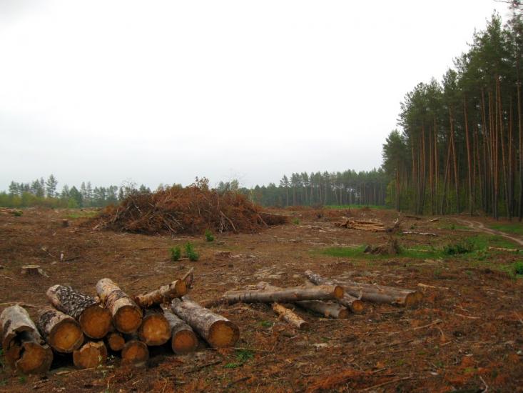 Дадакалівка з panoramio.com - Дадакаловка