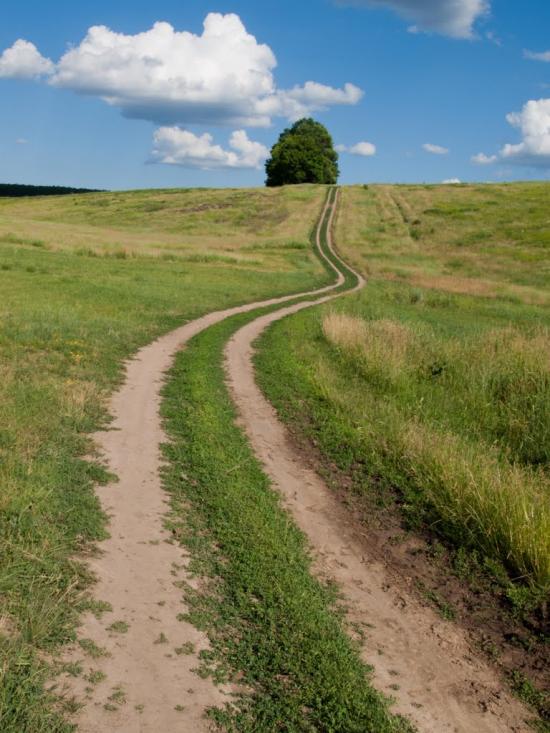 Буди з panoramio.com - Budy