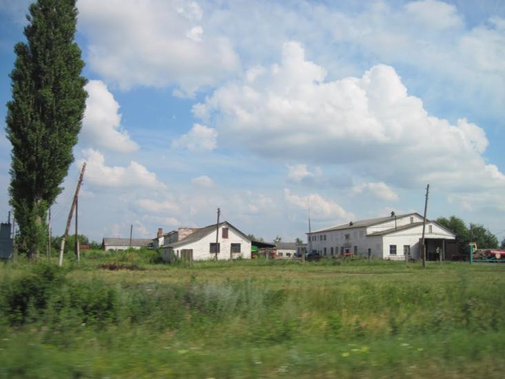 Шевченкове з panoramio.com - Шевченковое