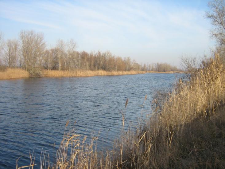 Гупалівка з panoramio.com - Гупаловка