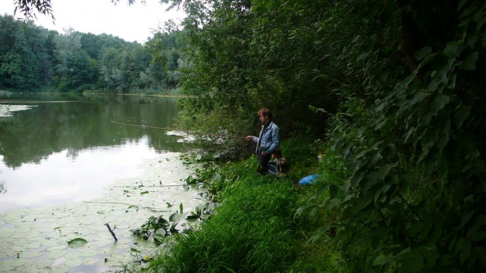 Великий Перевіз з panoramio.com - Великий Перевоз