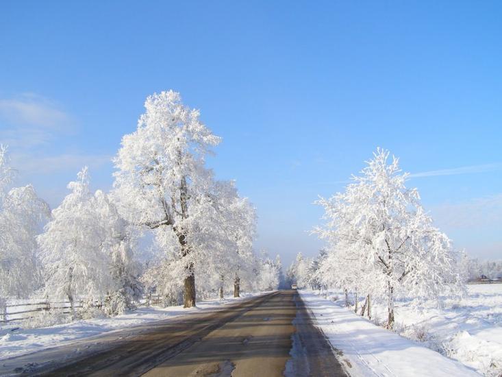 Міжгір'я з panoramio.com - Міжгір'я
