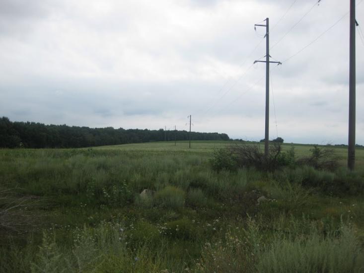 Садки з panoramio.com - Садки