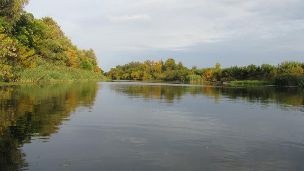 Кринки з panoramio.com - Кринки