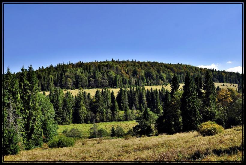 Сянки з panoramio.com - Сянки