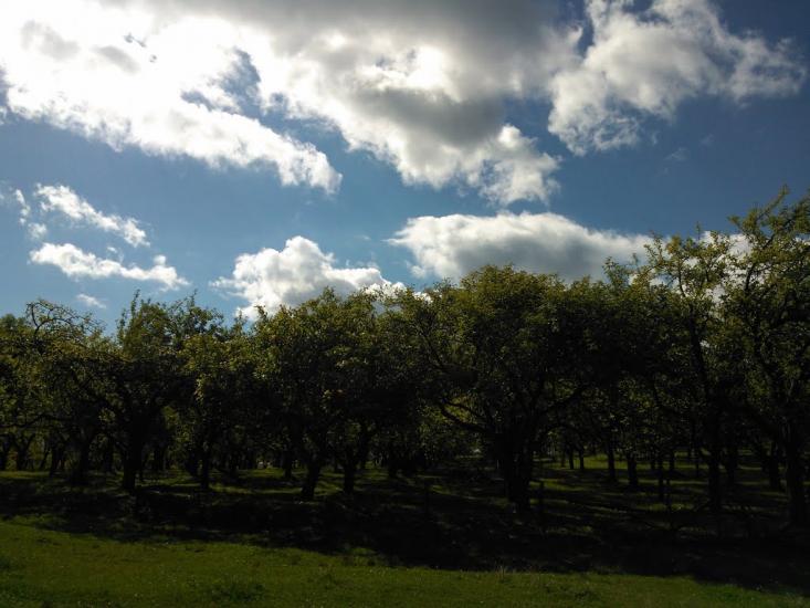 Бабичі з panoramio.com - Бабичи