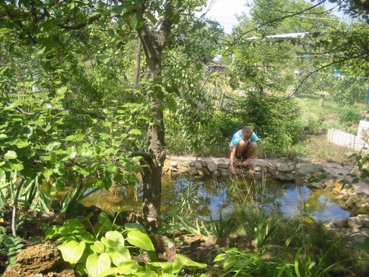 Одрадове з panoramio.com - Отрадово