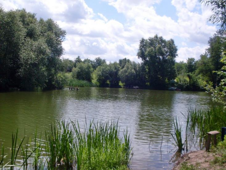 Степашки з panoramio.com - Степашки