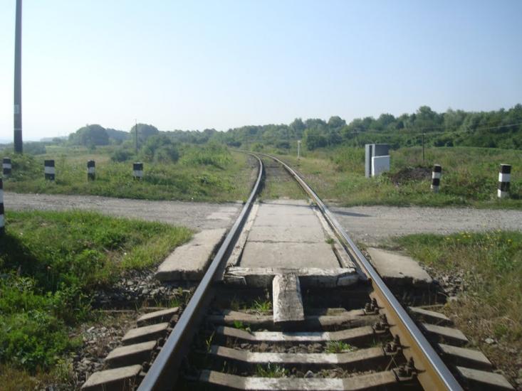 Панівці з panoramio.com - Panivtsi
