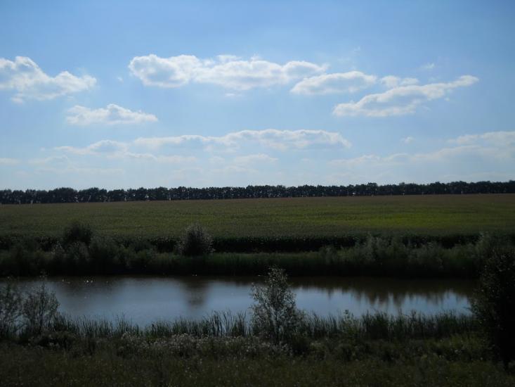 Кошляки з panoramio.com - Кошляки