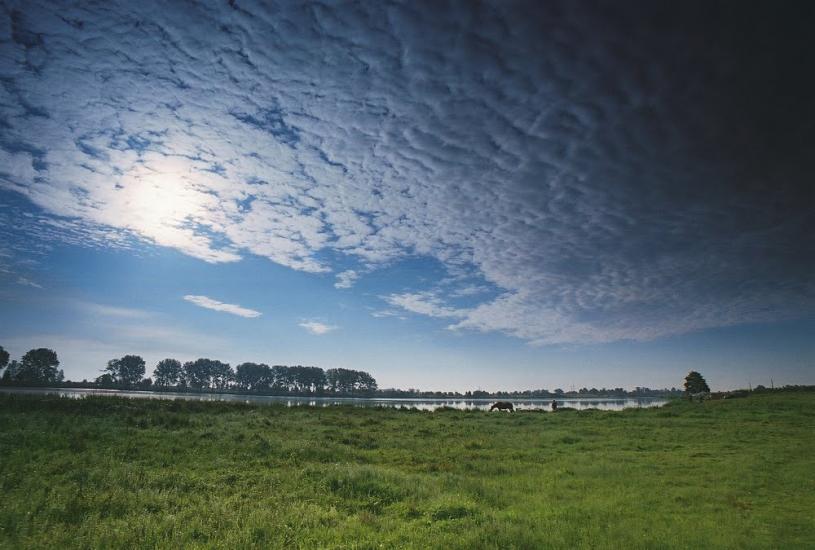 Добротвір з panoramio.com - Добротвір