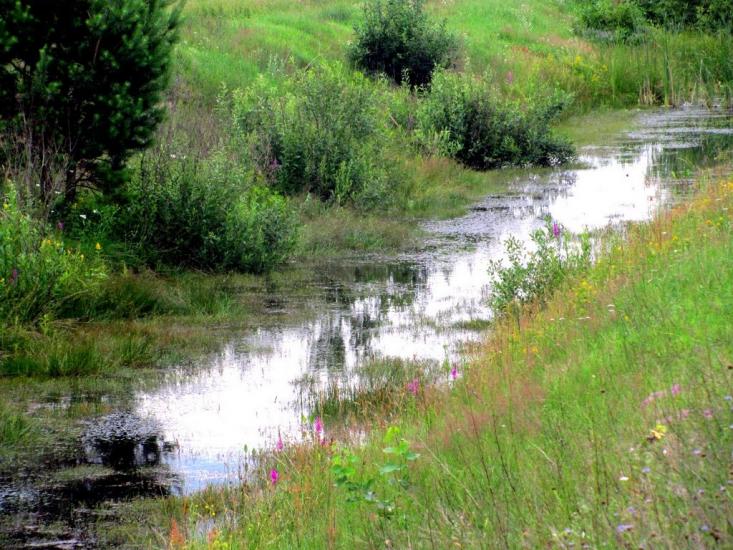 Бабка з panoramio.com - Бабка