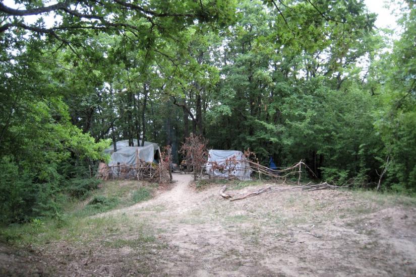 Ворон з panoramio.com - Ворон