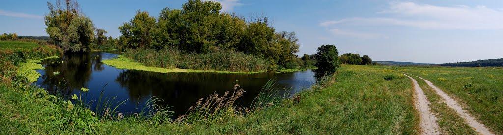 Нижній Бишкин з panoramio.com - Нижній Бишкин