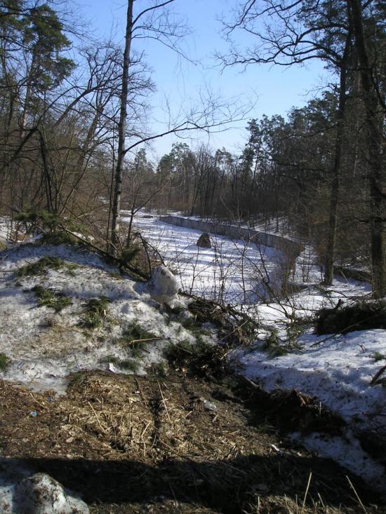 Проліски з panoramio.com - Проліски