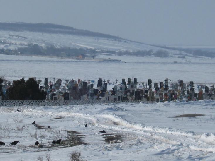 Веселинове з panoramio.com - Веселиново
