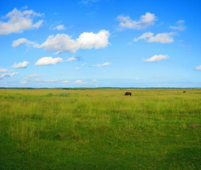 Підлісне з panoramio.com - Підлісне