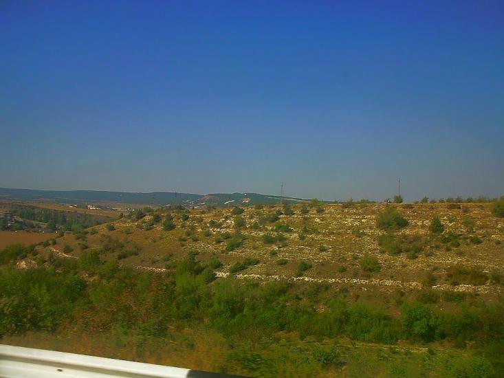 Сирень з panoramio.com - Сирень