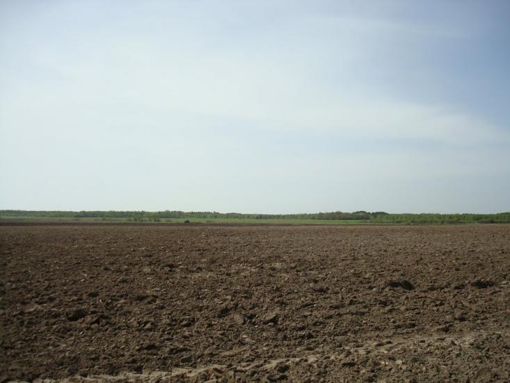 Вівчицьк з panoramio.com - Вовчицк
