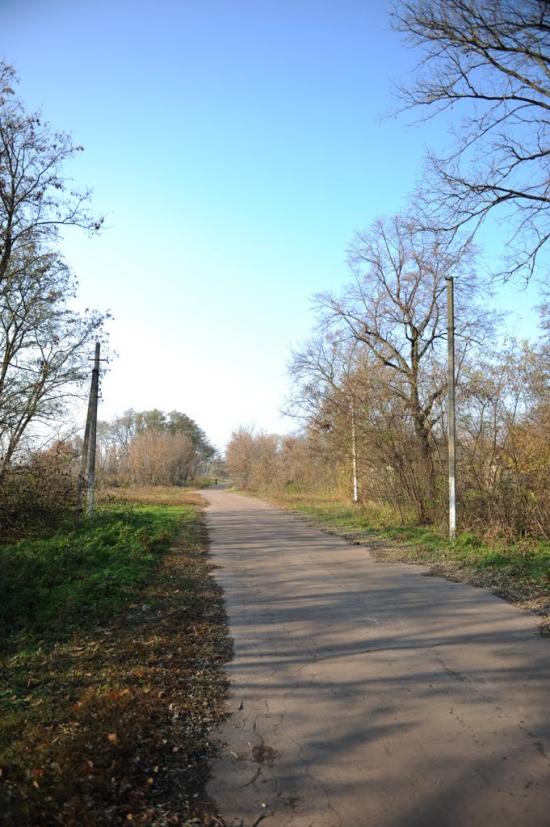Нова Оржиця з panoramio.com - Новая Оржица