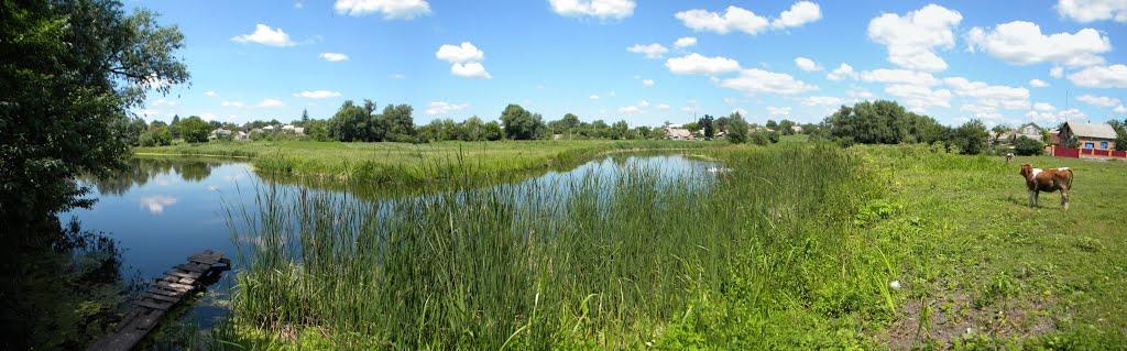 Липовець з panoramio.com - Липовец