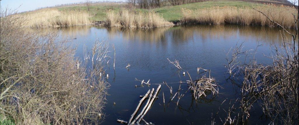 Софіївка з panoramio.com - Sofiyivka