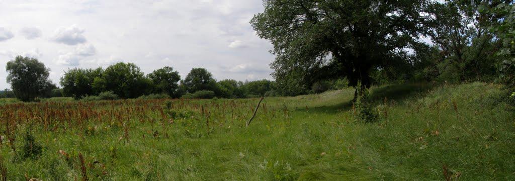 Пугачівка з panoramio.com - Пугачівка