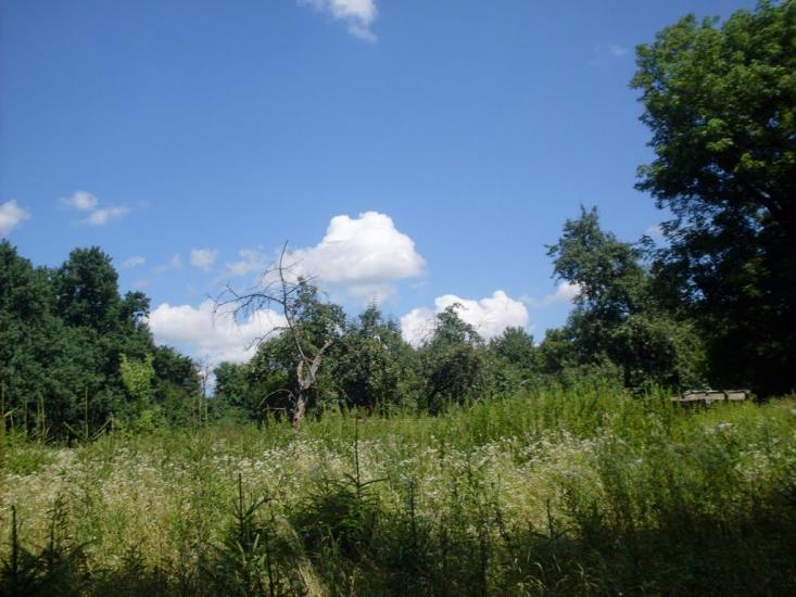 Степашки з panoramio.com - Степашки
