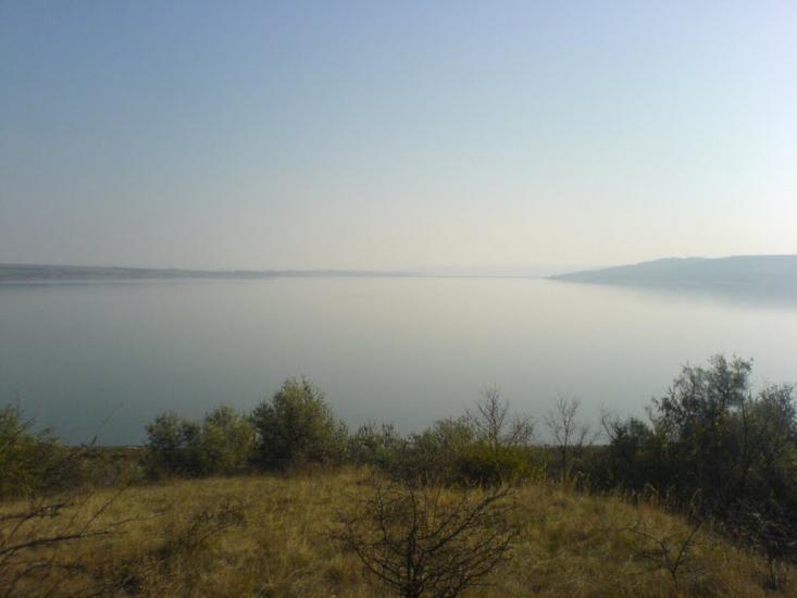 Паліївка з panoramio.com - Паліївка