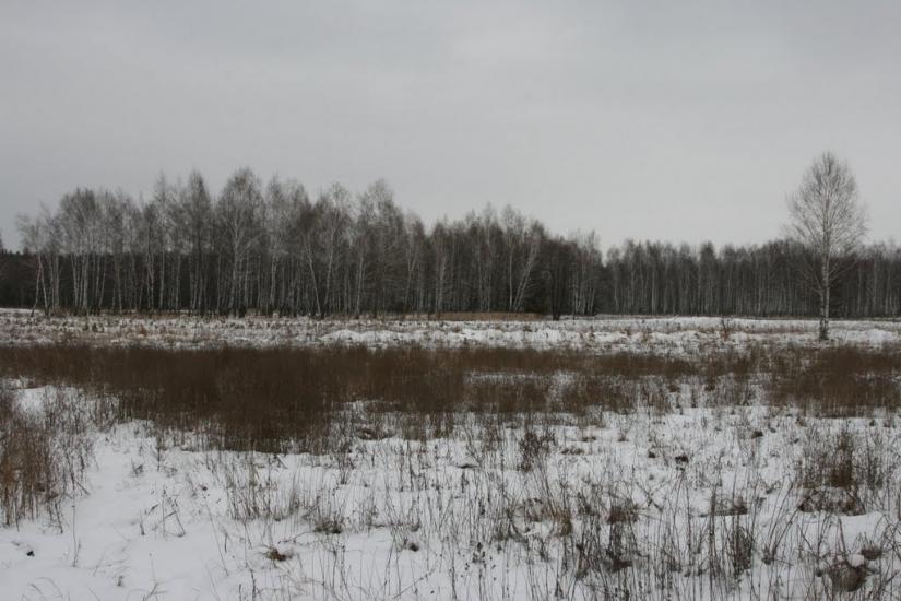 Новосілки з panoramio.com - Новоселки
