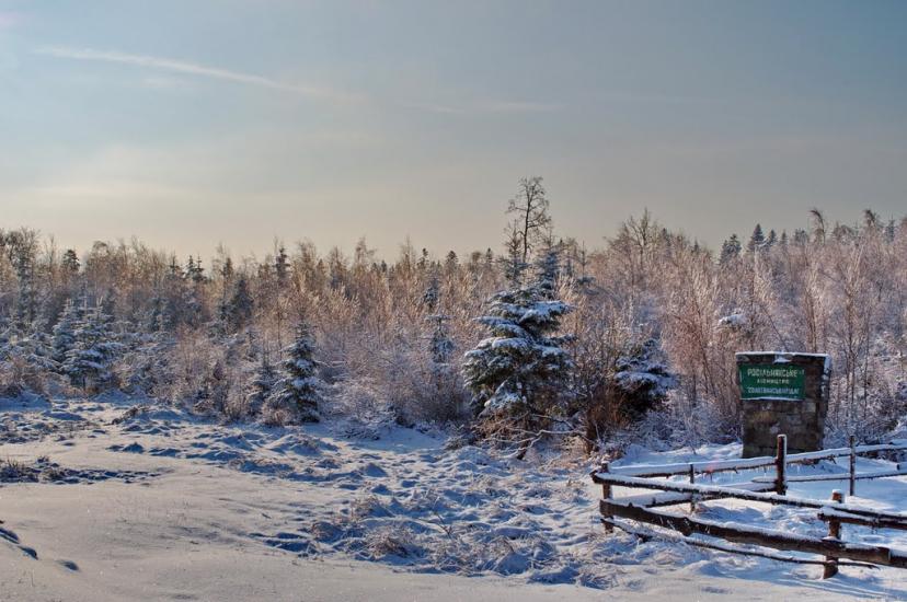 Міжгір'я з panoramio.com - Міжгір'я