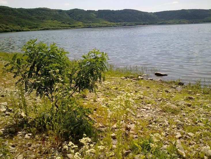 Каштанівка з panoramio.com - Каштановка