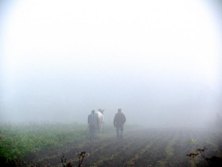 Мечищів з panoramio.com - Мечищів